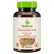 Bio Ganoderma gomba kapszula 60 db (BioMenü)