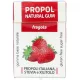 Propoliszos Rágógumi (Propolgum), cukormentes, Epres - 25g (Kontak)