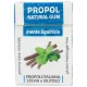 Propoliszos Rágógumi (Propolgum), cukormentes, mentolos - 25g (Kontak)