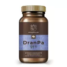 DRANPA agyserkentő és memóriajavító gyógynövény-komplex (Myrobalan)