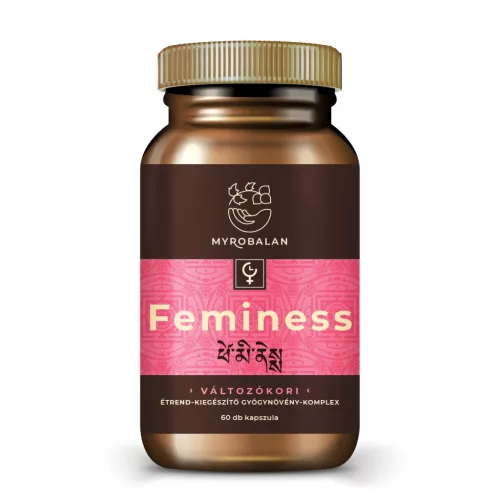 MMBFEMINNESS