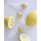 Mézes-Propoliszos nyalóka (citromos)