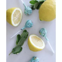 Mézes-Propoliszos nyalóka (citromos-mentás)