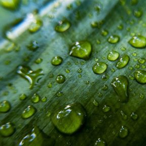 Daganatos betegségek