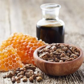 Bio propolisz