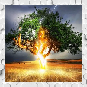 Fájdalomcsillapítás