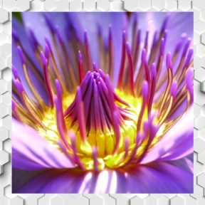 Menstruációs problémák