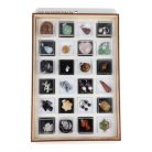 Ásványékszer Kollekció, ásványgyűjtemény, 24 db-os, műanyag dobozokban, fatartóban 