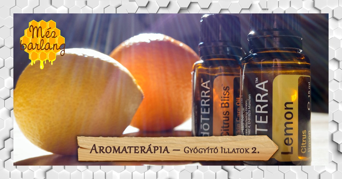 Aromaterápia – Gyógyító illatok (2. rész)