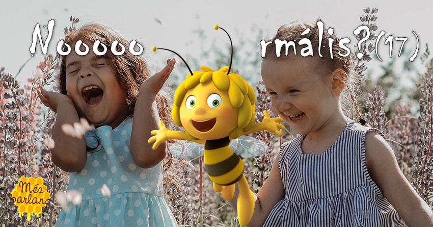 Nooooormális? (17)