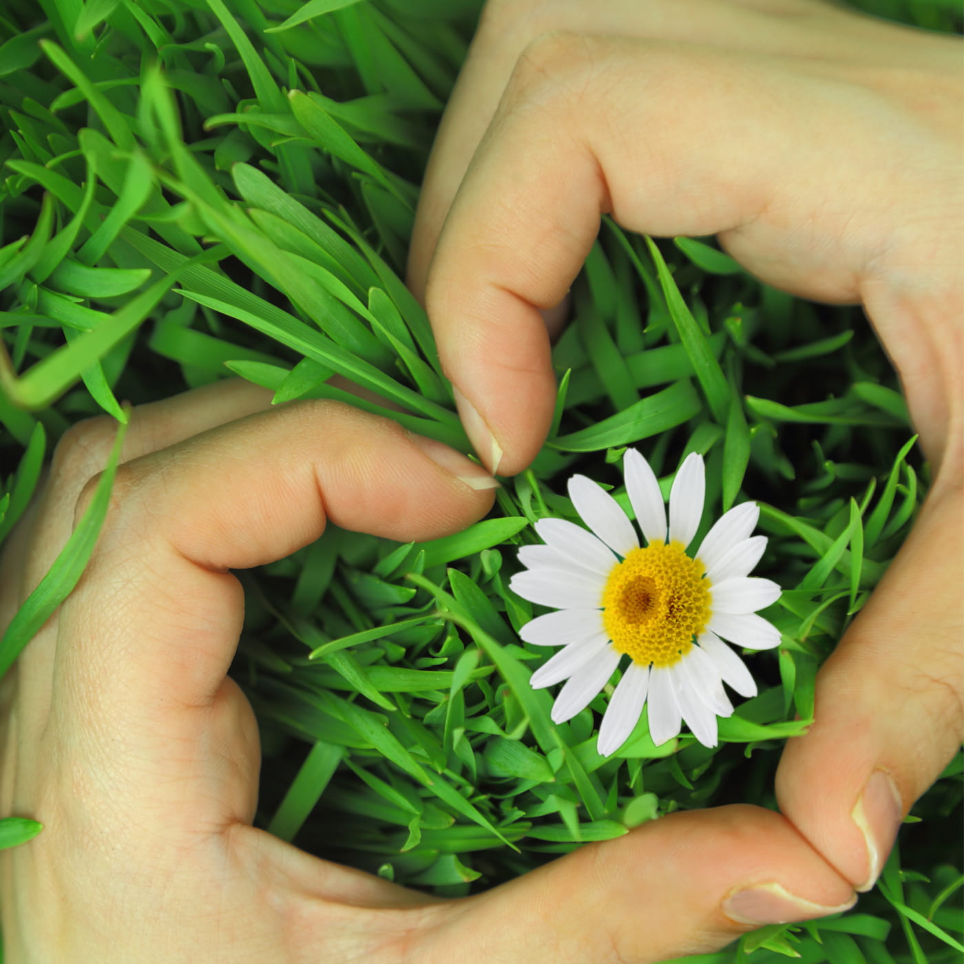 Az egészség ott kezdődik, ahogyan bánunk magunkkal és egymással