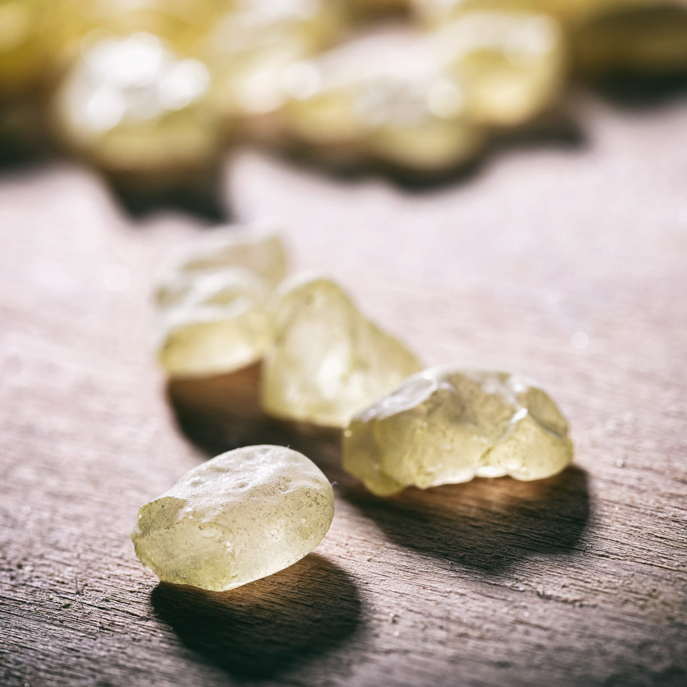 Masticha és Helicobacter pylori: mit mondanak a kutatások?