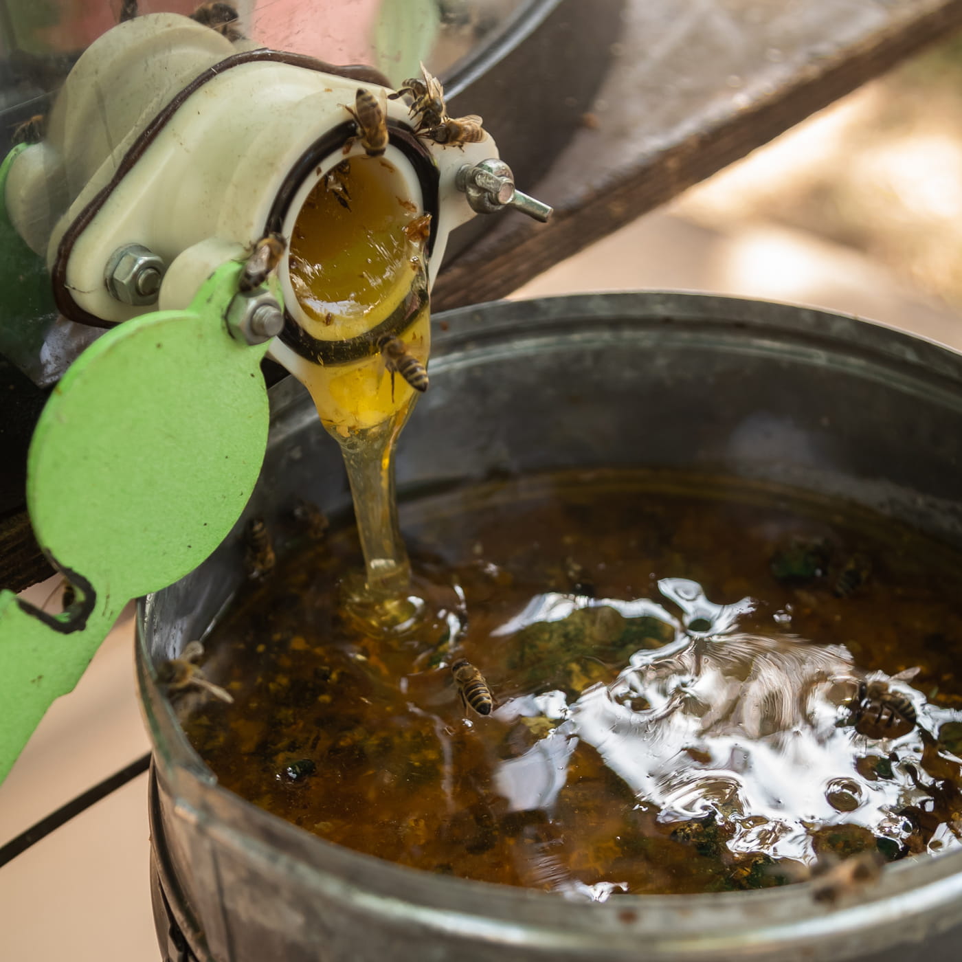 Nyers méz: igazság, tévhitek és magyar gyakorlat